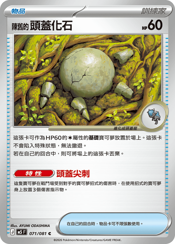 M5F 071/081 | 陳舊的頭蓋化石 | C | CT