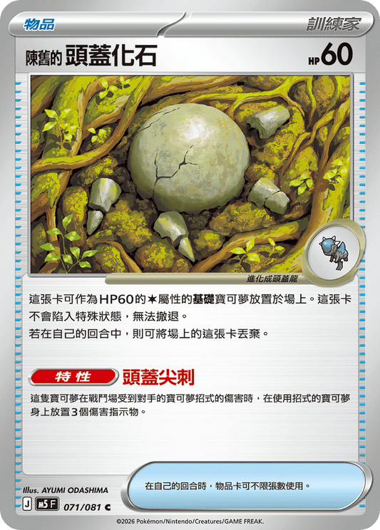 M5F 071/081 | 陳舊的頭蓋化石 | C | CT