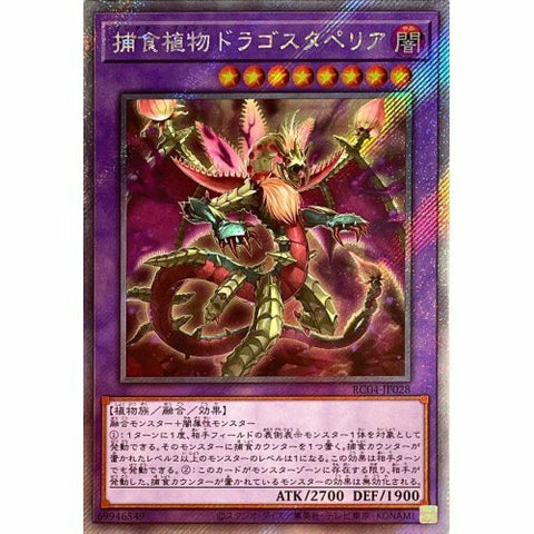 RC04-JP028 捕食植物ドラゴスタペリア 捕食植物犀角龍 | ESR
