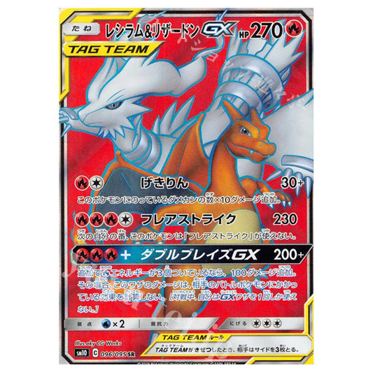 [Pokemon 寶可夢] 白龍 噴火龍 Tag Team