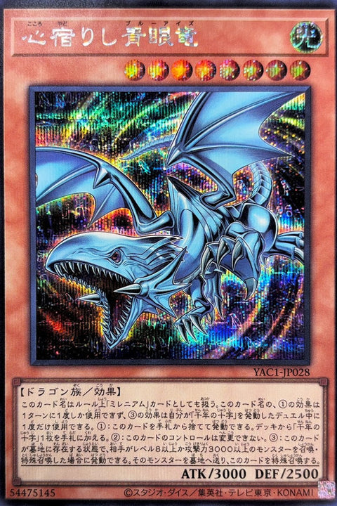 YAC1-JP028 寄宿內心的青眼龍 | SER