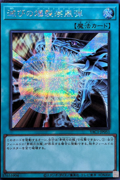 YAC1-JP051 毀滅的爆裂疾風彈 | SER